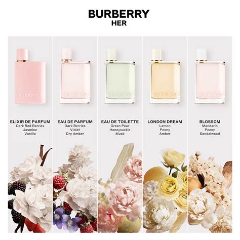 burberry her vs burberry her elixir|burberry her dupe.